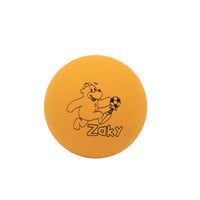 Zaky Handball